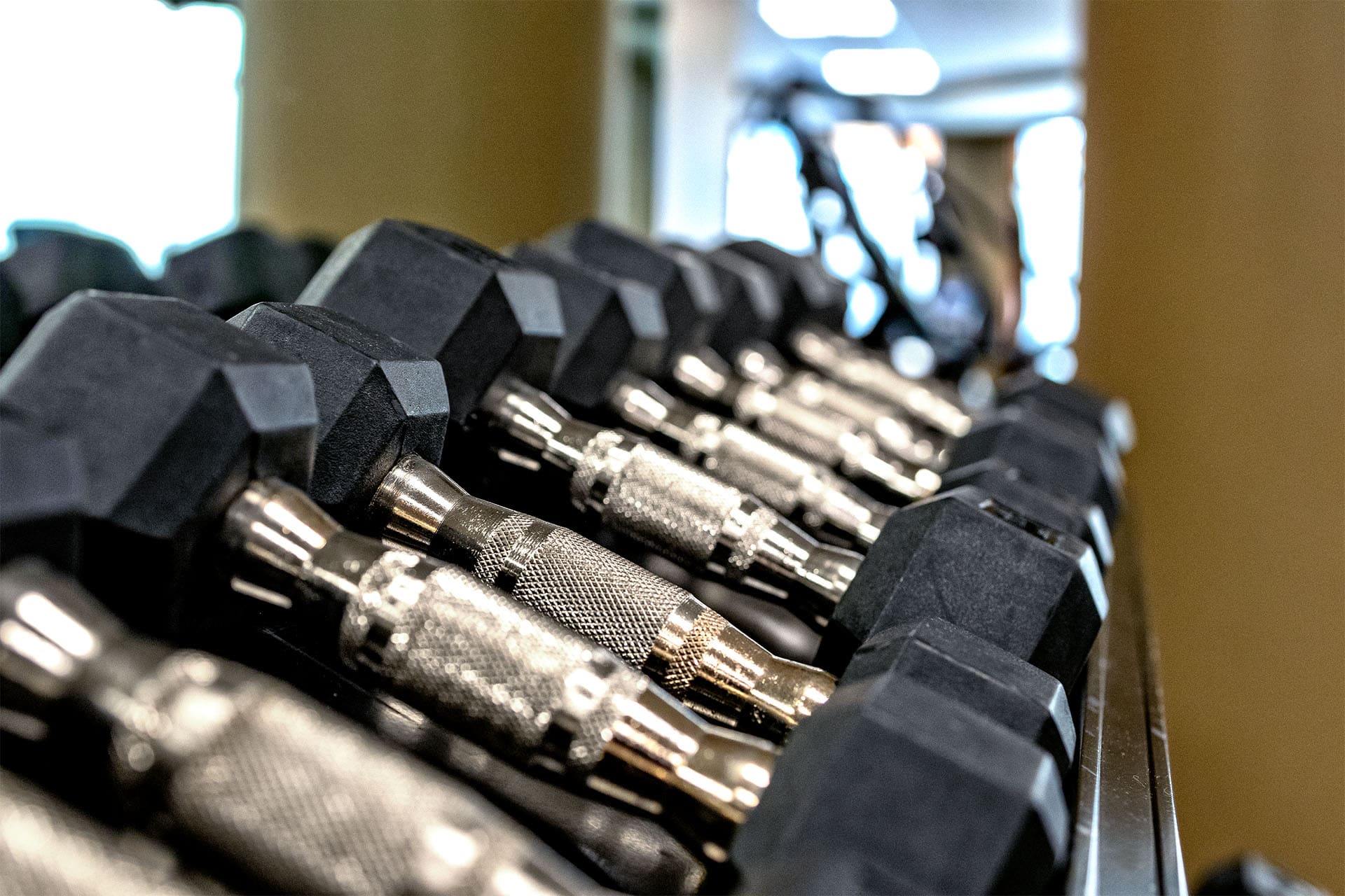 Fitness Center Free Weights